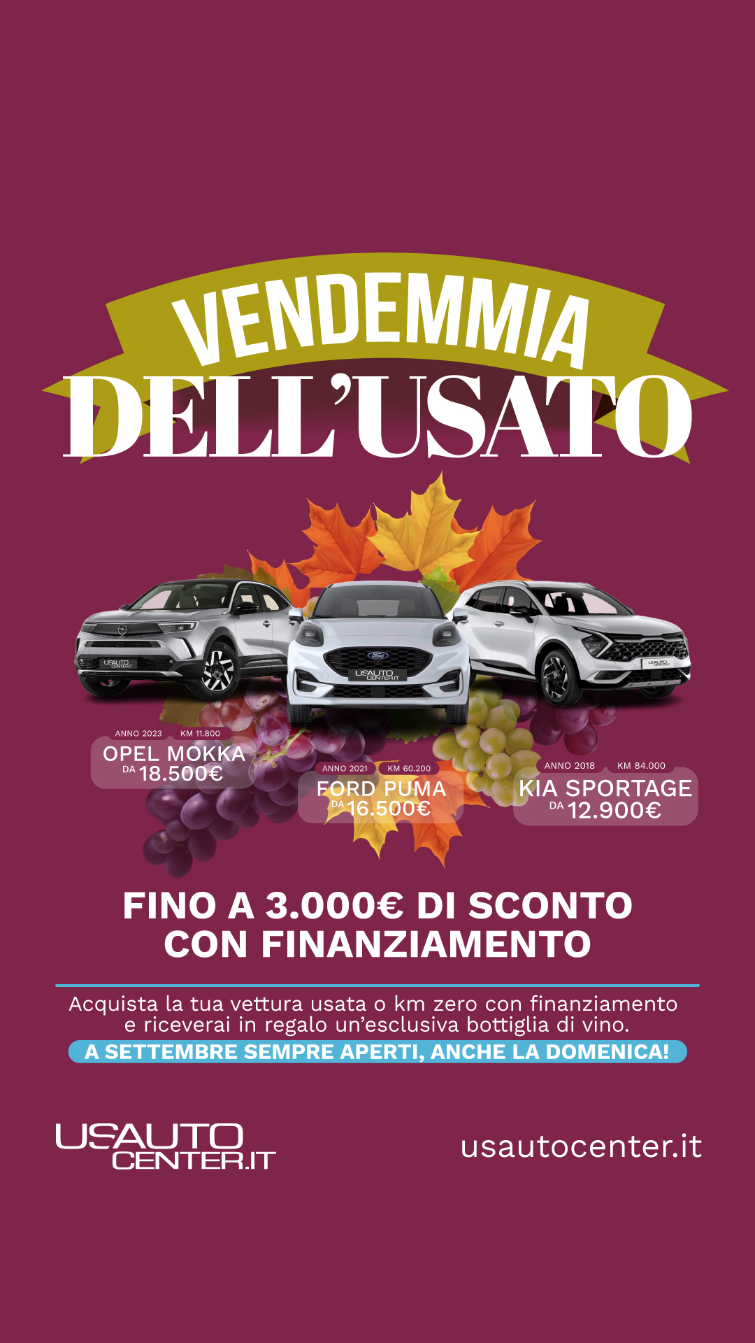 Usauto_SaldiAutunno_1080x1920