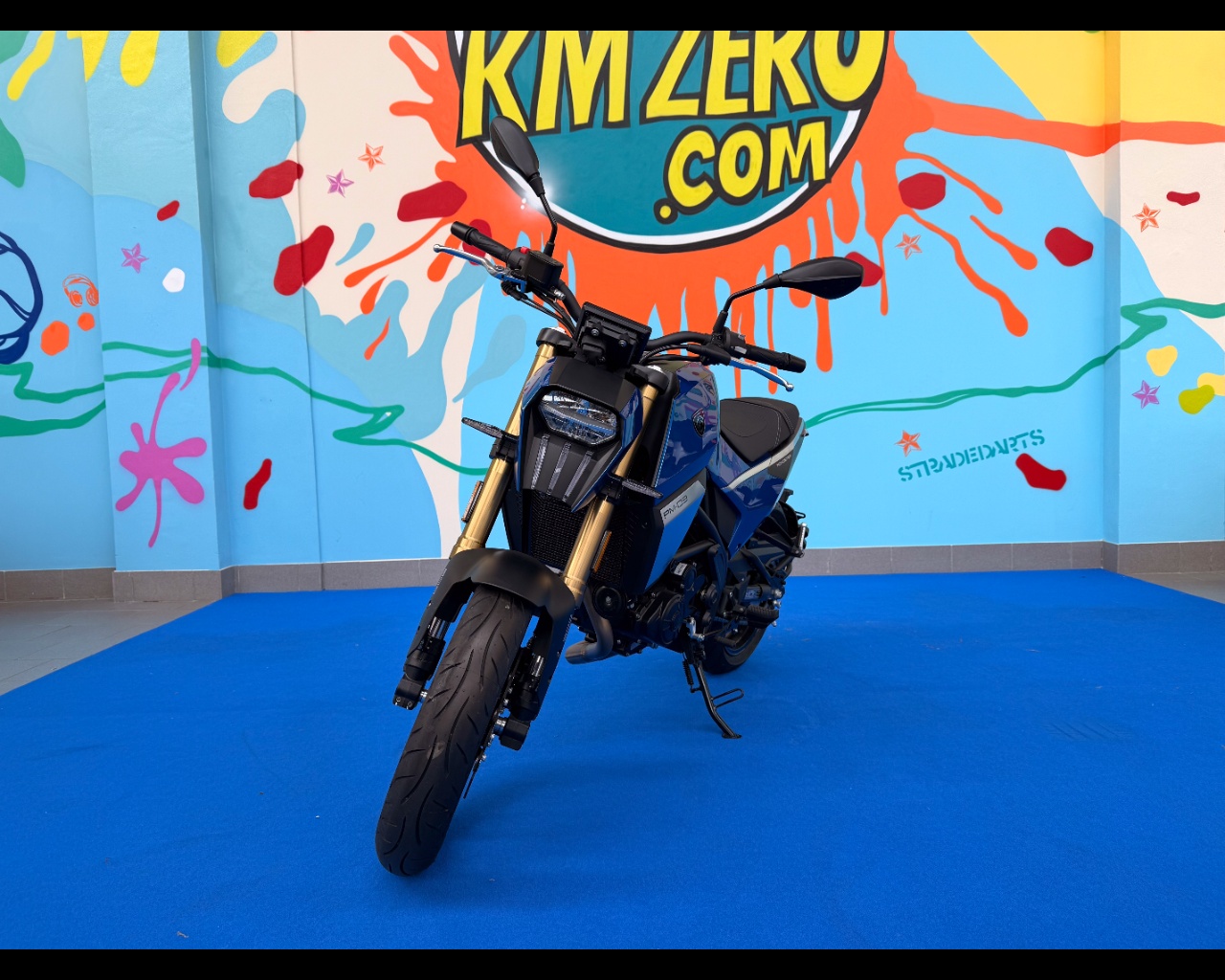 PEUGEOT MOTOCYCLES PM-03 300